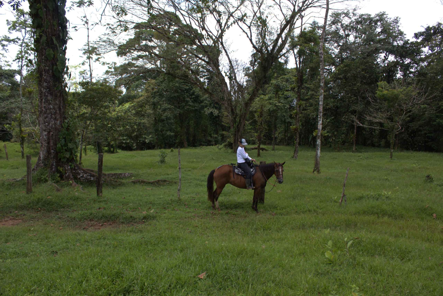 Privat ridetur - Río Celeste