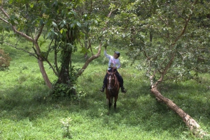 Privat ridetur - Río Celeste