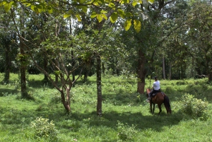 Privat ridetur - Río Celeste