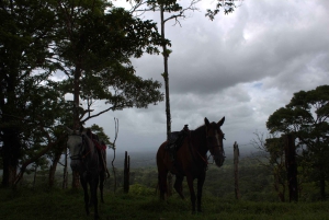 Privat ridetur - Río Celeste