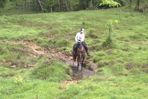 Privat ridetur - Río Celeste