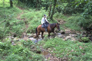 Private Horseback Riding - Río Celeste