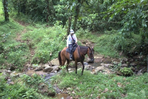 Private Horseback Riding - Río Celeste