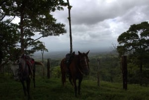 Private Horseback Riding - Río Celeste