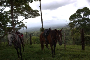 Private Horseback Riding - Río Celeste