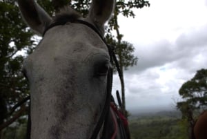 Private Horseback Riding - Río Celeste