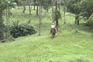 Private Horseback Riding - Río Celeste