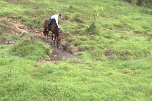 Private Horseback Riding - Río Celeste