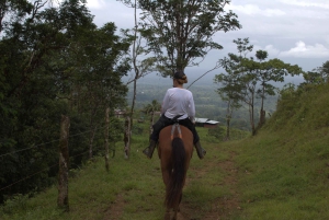 Private Horseback Riding - Río Celeste