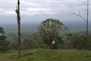 Private Horseback Riding - Río Celeste