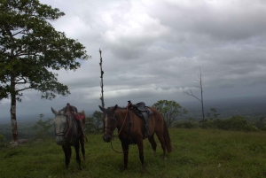 Private Horseback Riding - Río Celeste