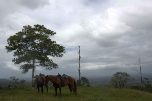 Private Horseback Riding - Río Celeste