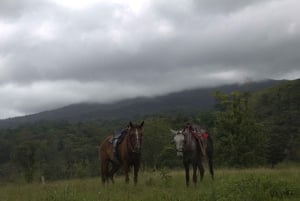 Private Horseback Riding - Río Celeste
