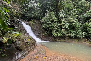 Private jungle hike to 2 waterfalls with lunch, transport