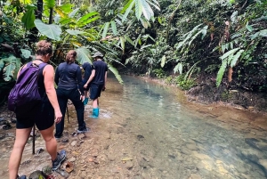 Private jungle hike to 2 waterfalls with lunch, transport