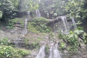 Private jungle hike to 2 waterfalls with lunch, transport