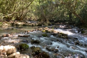 Rincon de la Vieja: Private La Leona Waterfall Hike