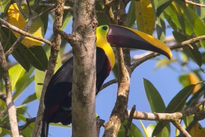 Private Manuel Antonio National Park