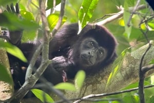 Parc national privé de Manuel Antonio