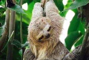 Parc national privé de Manuel Antonio