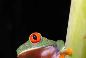 Parc national privé de Manuel Antonio