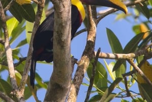 Parc national privé de Manuel Antonio