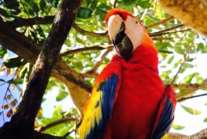 Parc national privé de Manuel Antonio