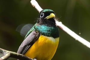 Parc national privé de Manuel Antonio
