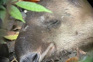 Parc national privé de Manuel Antonio