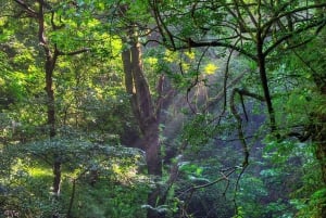 Private Tour Diria National Park Unspoken Hiking and Nature