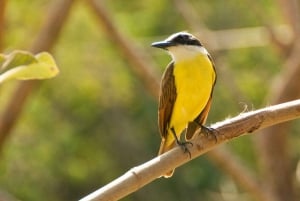 Private Tour Diria National Park Unspoken Hiking and Nature