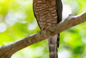 Private Tour Diria National Park Unspoken Hiking and Nature