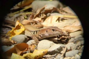 Private Tour Diria National Park Unspoken Hiking and Nature