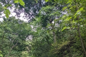 Private Tour Diria National Park Unspoken Hiking and Nature