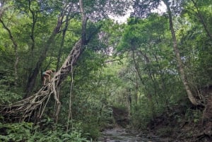 Private Tour Diria National Park Unspoken Hiking and Nature