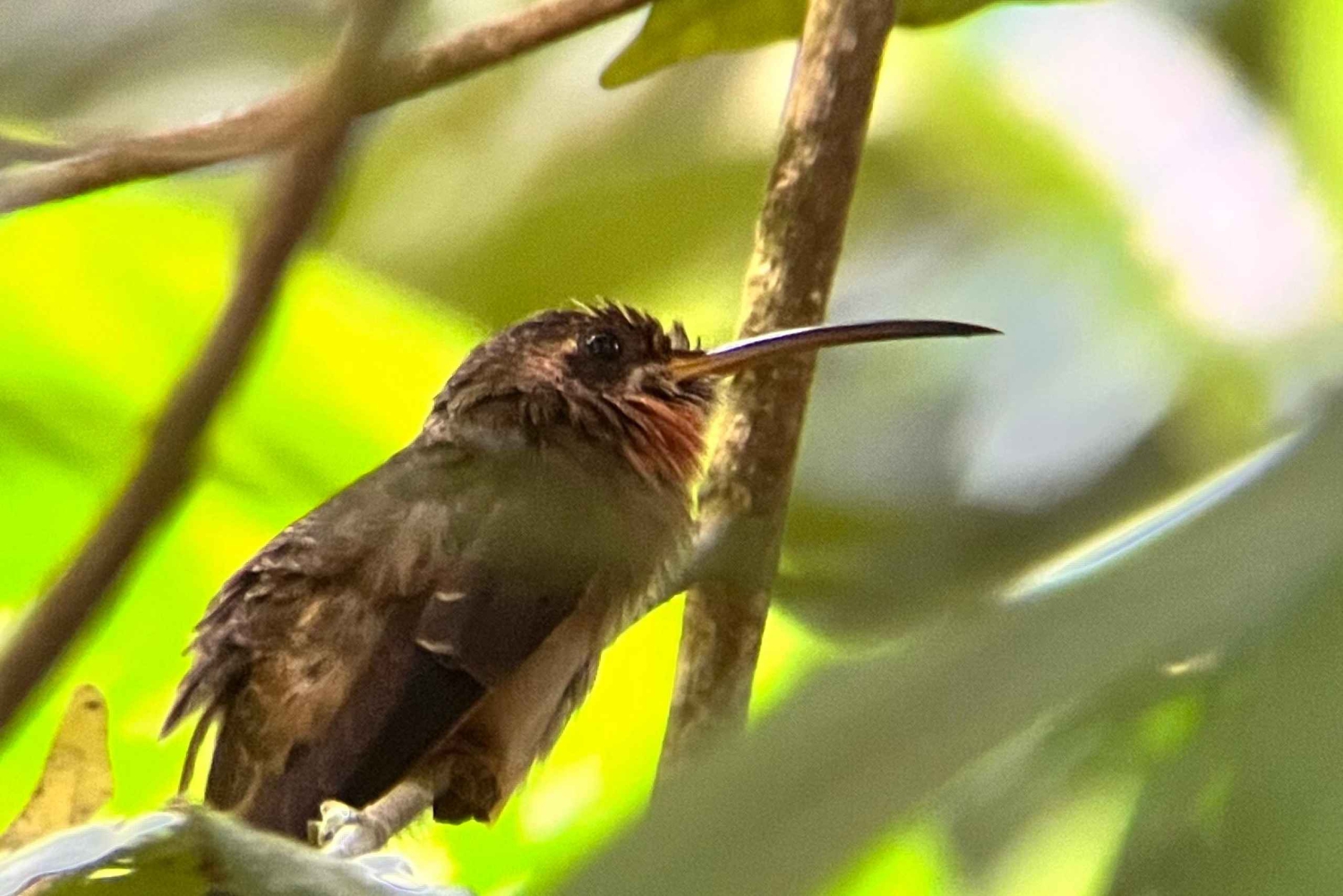 PRIVAATTIKIERROS Manuel Antonion puisto