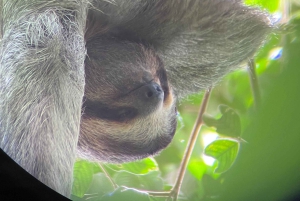 PRIVAATTIKIERROS Manuel Antonion puisto