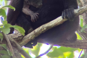 PRIVAATTIKIERROS Manuel Antonion puisto