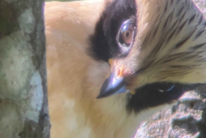 PRIVAATTIKIERROS Manuel Antonion puisto