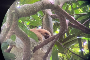 PRIVAATTIKIERROS Manuel Antonion puisto