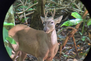 PRIVAATTIKIERROS Manuel Antonion puisto