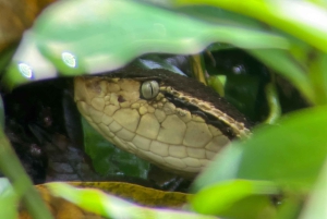 PRIVAATTIKIERROS Manuel Antonion puisto