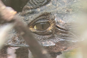 PRIVAATTIKIERROS Manuel Antonion puisto