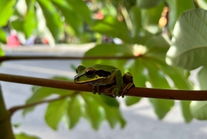 PRIVAATTIKIERROS Manuel Antonion puisto