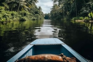 Tortuguero canals boat trip & Maratopia tropical garden Tour