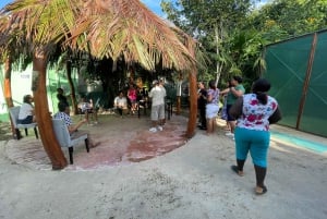 private tour to Tortuguero canals boat trip & Maratopia