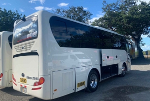 Privat transport fra Liberia lufthavn til Riu Guanacaste
