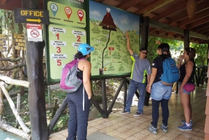 Istanbul: Hagia Sophia, Blue Mosque, Suleymaniye Mosque Tour