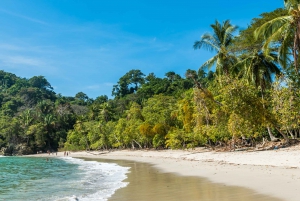 Prywatny transfer Lotnisko San José do/z Manuel Antonio