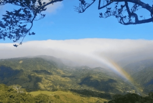 Private Transfer San José Airport to/From Monteverde